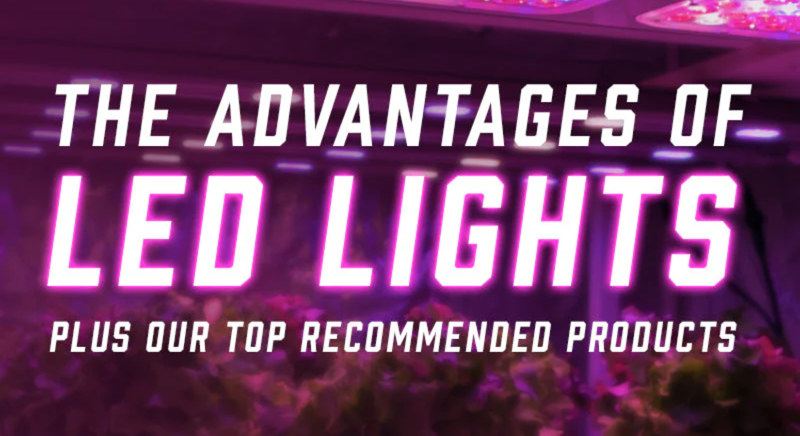 The Advantages of LED Lights Blog