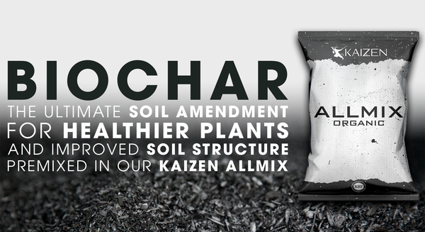 Biochar: The Ultimate Soil Amendment for Healthier Plants and Improved Soil Structure - Holland Horticulture
