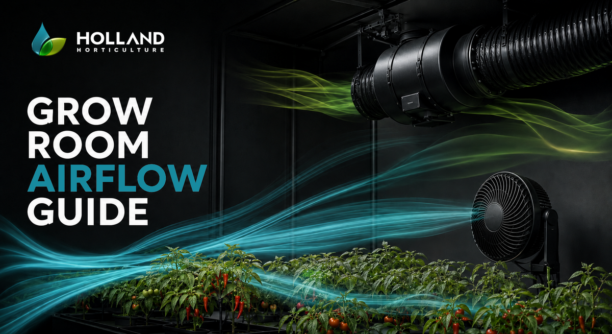 Grow Room Airflow Guide: How to Circulate Air Around Indoor Plants