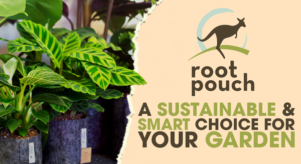 Root Pouches: A Sustainable and Smart Choice for Your Garden - Holland Horticulture