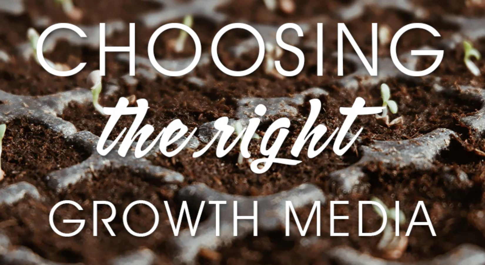 Choosing The Right Growth Media