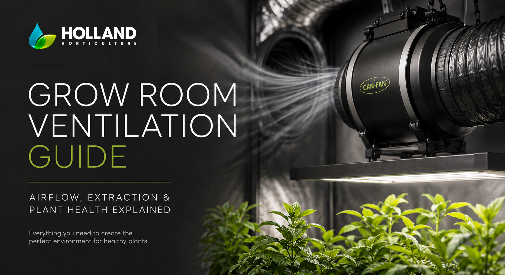 Grow room ventilation system with extraction fan and airflow around healthy indoor plants