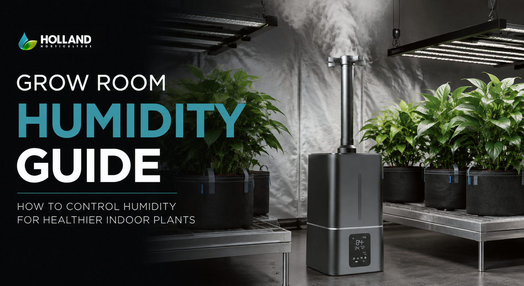 Grow Room Humidity Guide: How to Control Humidity for Indoor Plants
