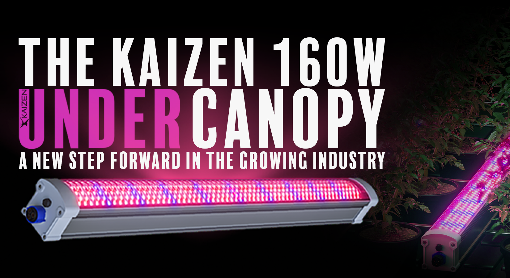 The Kaizen 160W Under Canopy LED Light: A New Step Forward in the Growing Industry