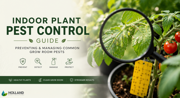 Indoor Plant Pest Control Guide: Preventing & Managing Common Grow Room Pests - Holland Horticulture