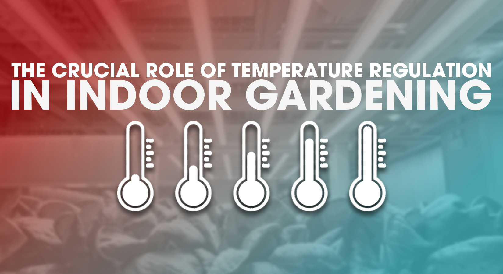 The Crucial Role of Temperature Regulation in Indoor Gardening