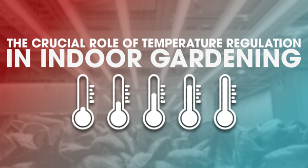 The Crucial Role of Temperature Regulation in Indoor Gardening - Holland Horticulture