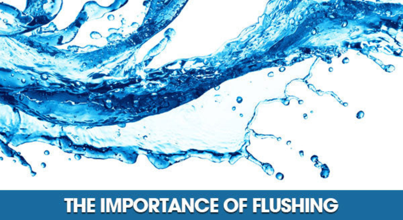 The Importance of Flushing
