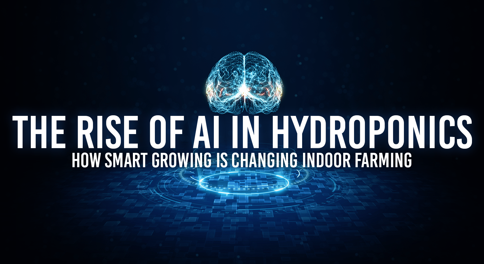 The Rise of AI in Hydroponics: How Smart Growing Is Changing Indoor Farming