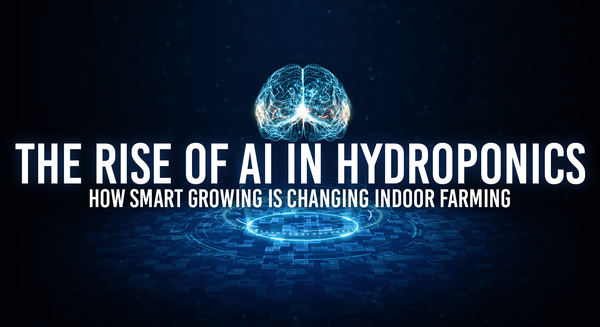 The Rise of AI in Hydroponics: How Smart Growing Is Changing Indoor Farming - Holland Horticulture