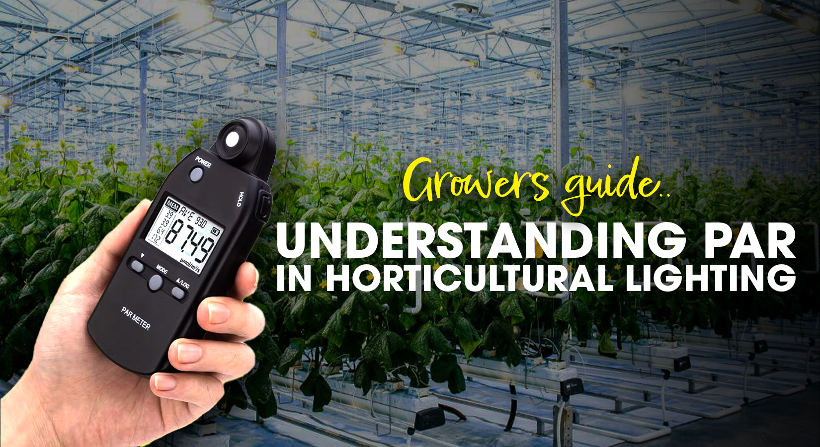 Understanding PAR in Horticultural Lighting Blog Cover Image