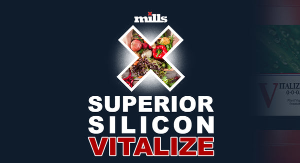 Mills Vitalize - Holland Horticulture