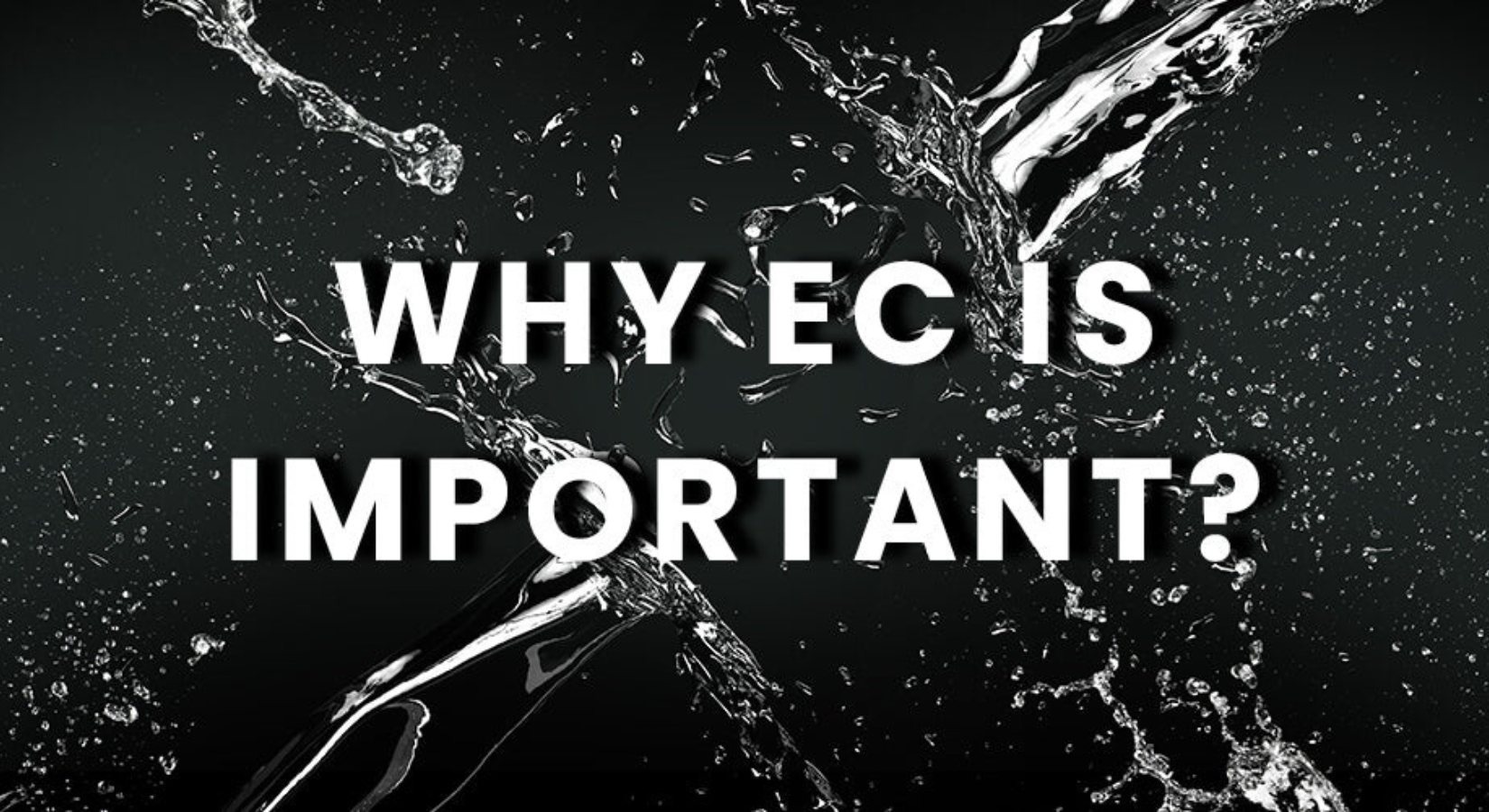 Why is EC Important Blog Image