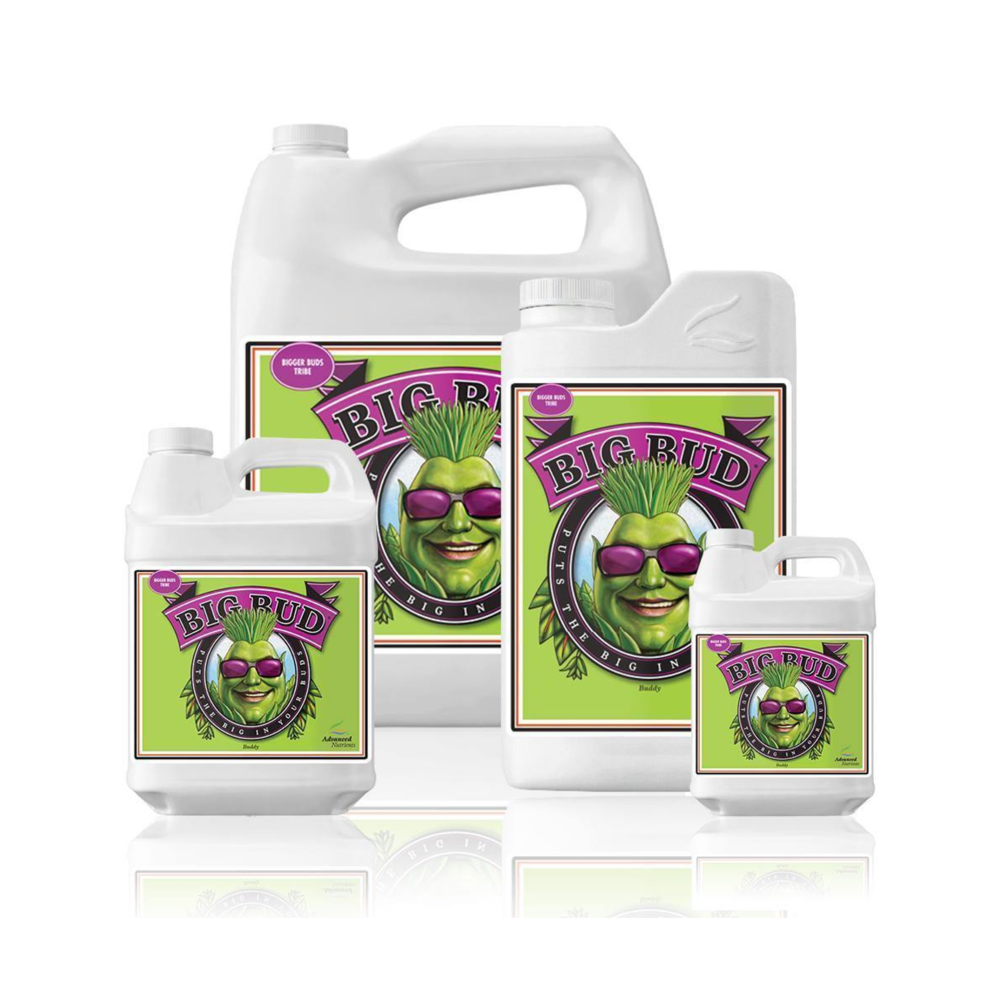Set of Big Bud plant growth supplements with a brand logo on a white background