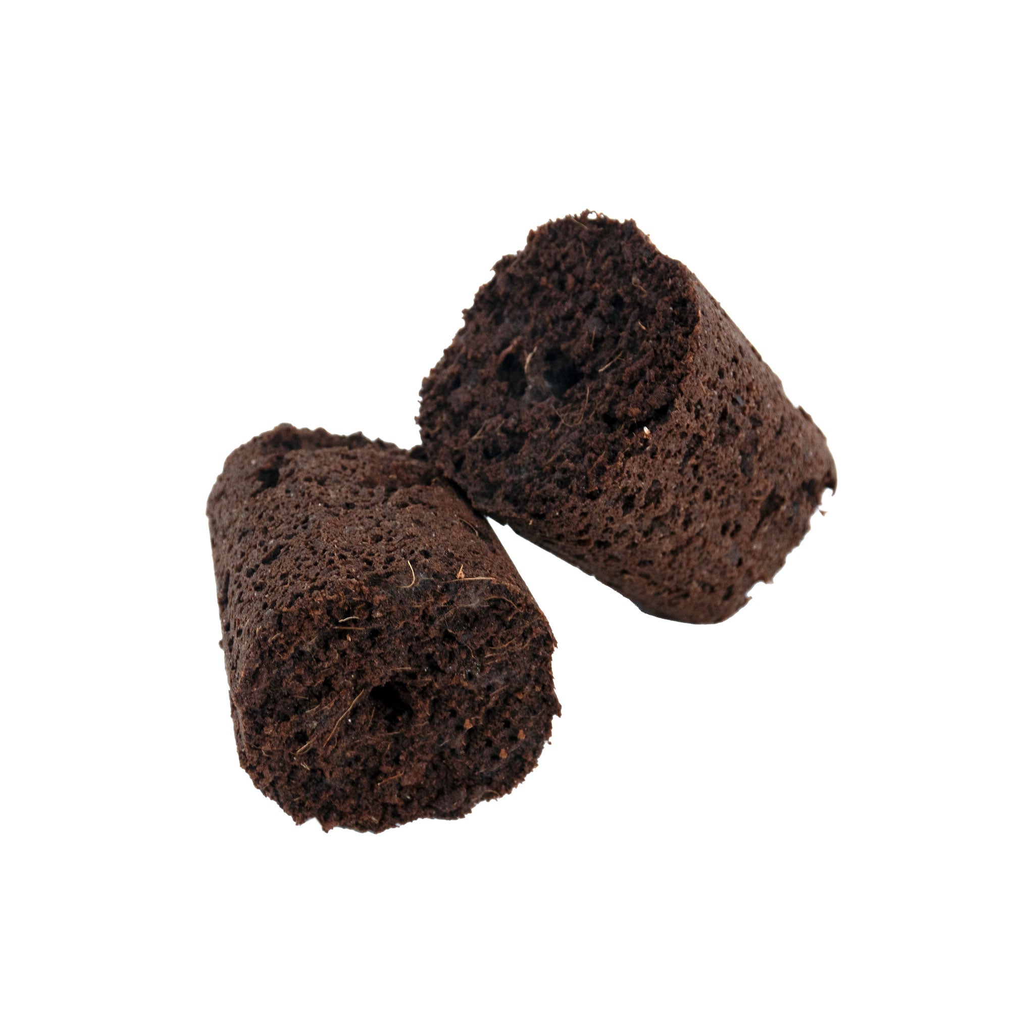 Image of plugs from big phat mother plugger tray