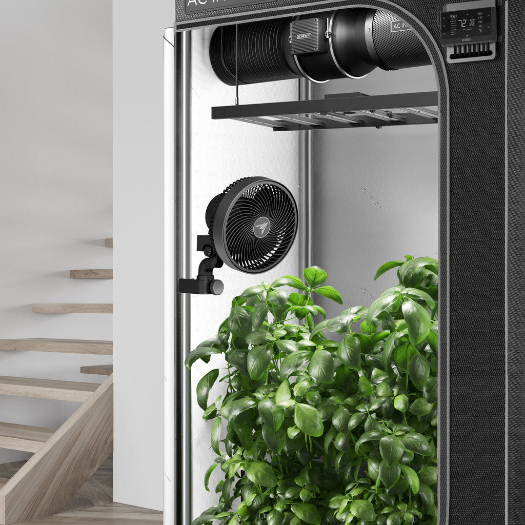 CLOUDRAYS9 shown in tent with plants