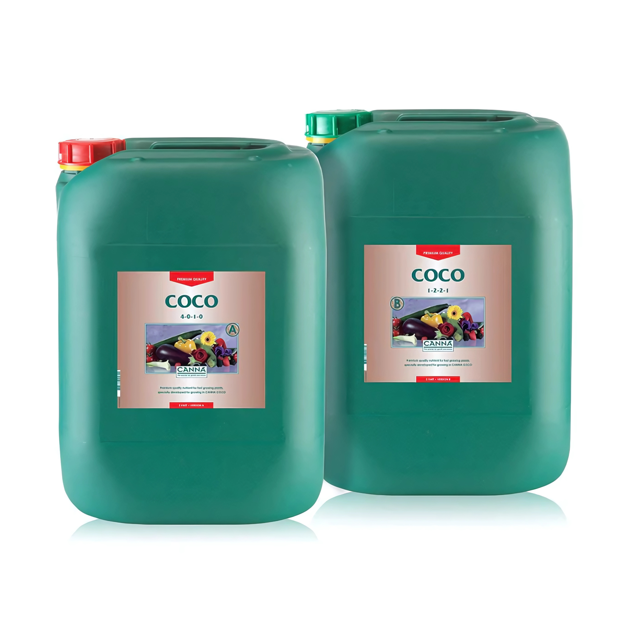 Two green 20L containers labeled 'Canna COCO' on a white background