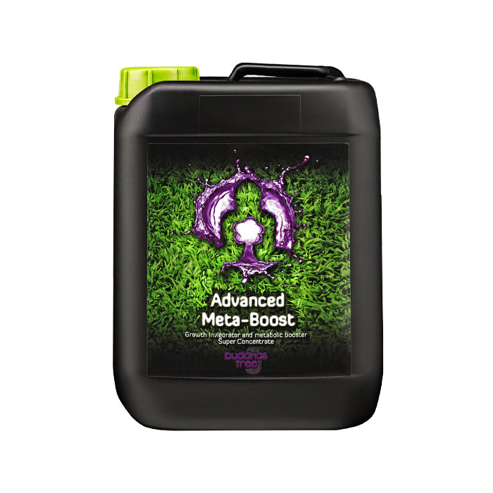 Buddhas Tree Advanced Meta-Boost