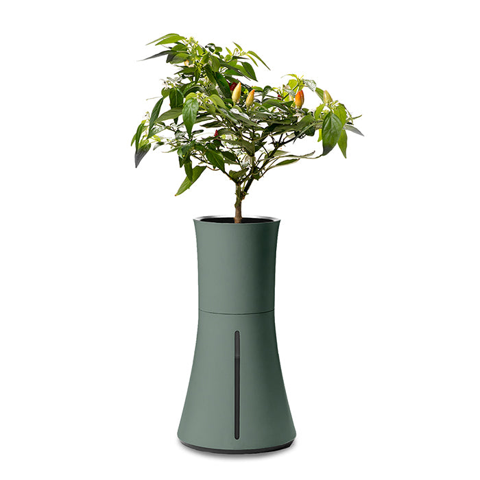 Botanium Self-watering Single Planter 3