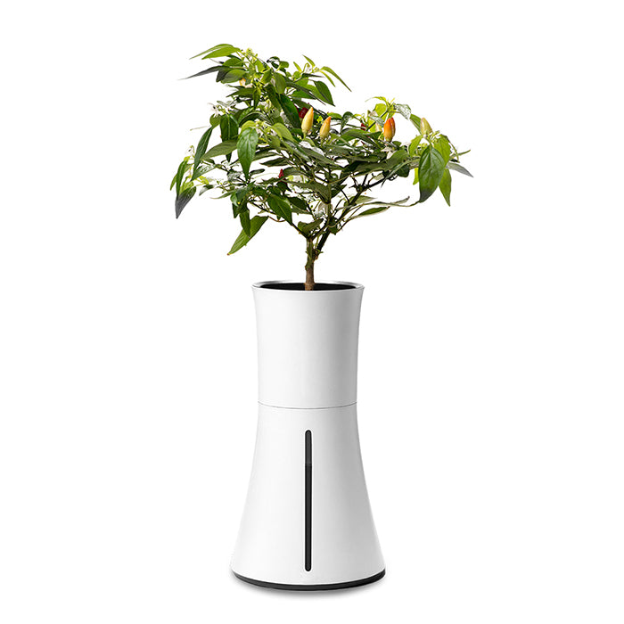 Botanium Self-watering Single Planter 2