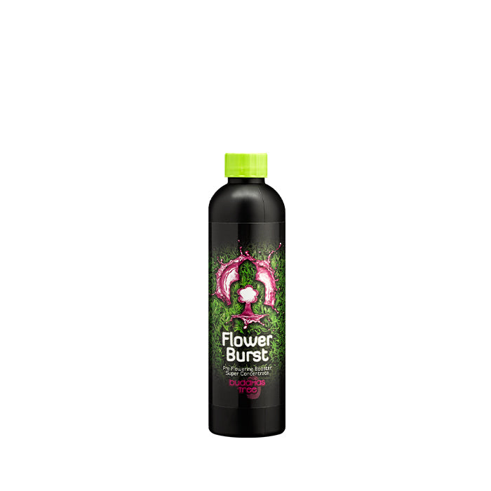 250ML bottle of Budddhas Tree Flower Plant Nutrient