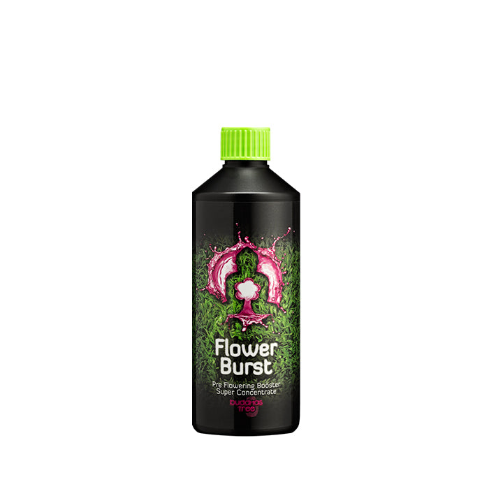 500ML bottle of Budddhas Tree Flower Plant Nutrient