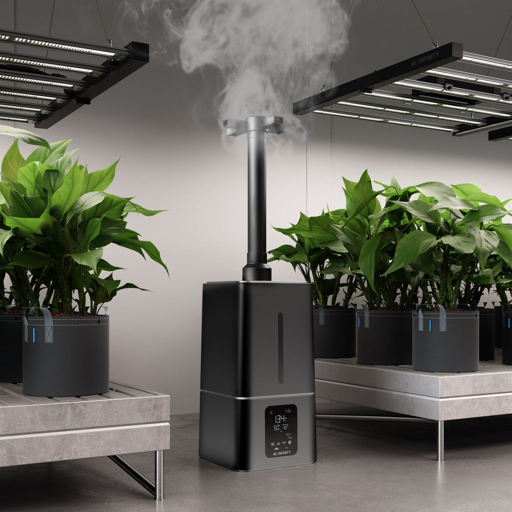 cloudforge t7 shown in grow room