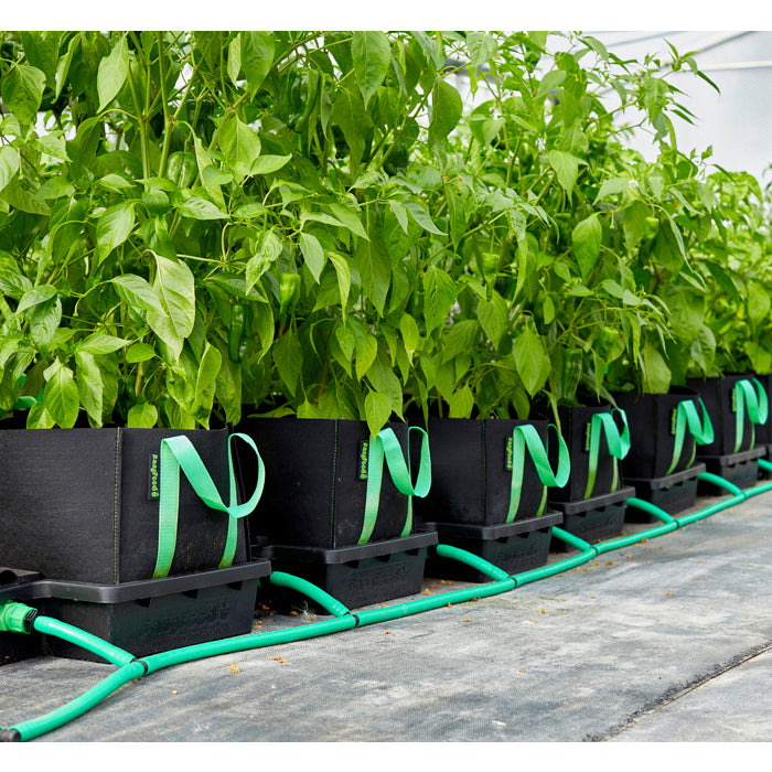 Alien Hydroponics EasyFeed - 22L & 30L