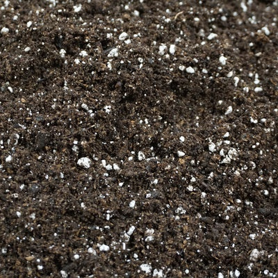 Ecothrive Hydroponics Living Soil