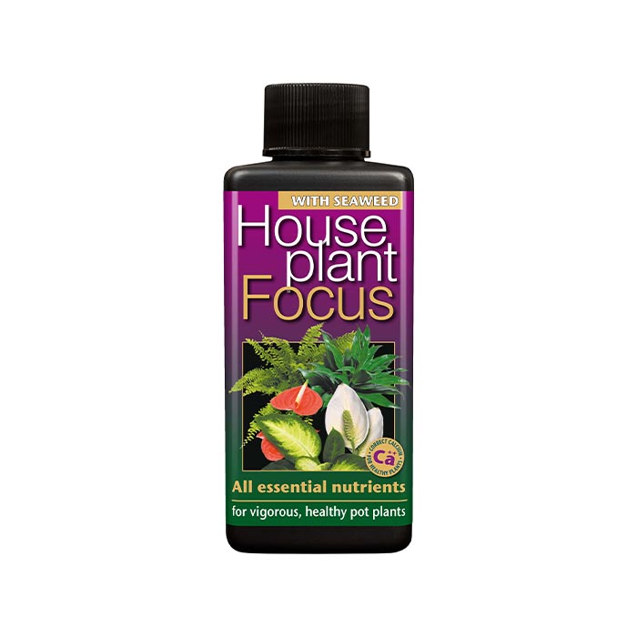 Houseplant Focus - 100ml