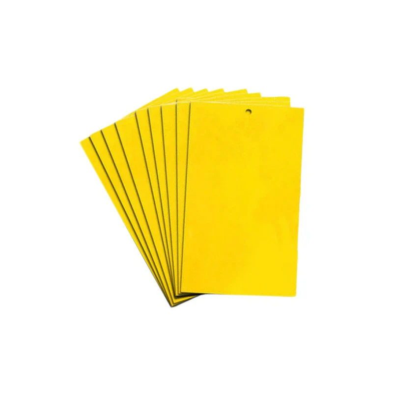 Garden King Yellow Sticky Traps 12 Pack – pest control for grow rooms