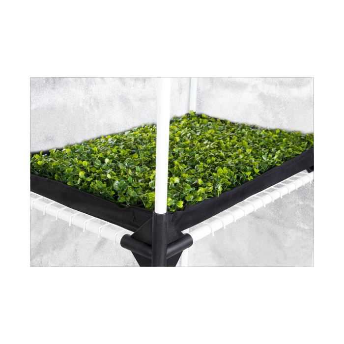 Garden Highpro Probox Seeds