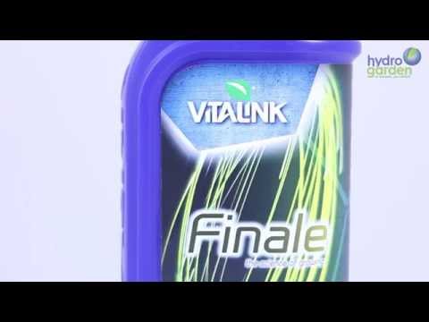 VitaLink Finale