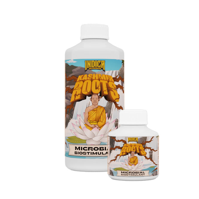 Indica Nutrients Kashmir Roots