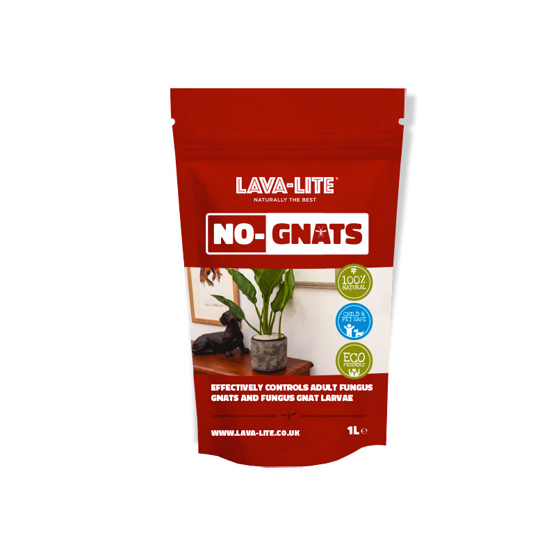 Lava-Lite No-Gnats