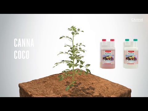Canna Coco Hydroponics Video