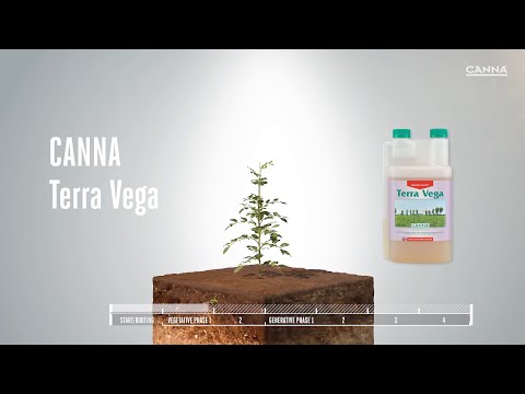 Canna Terra Vega Product Video