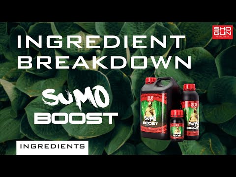 Shogun Sumo Boost Ingredients Breakdown Video