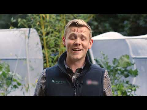 Vegepod Product Demo
