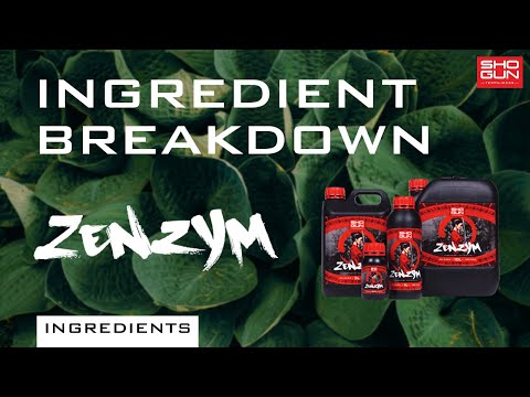 Ingredients breakdown video of Shogun zenzym