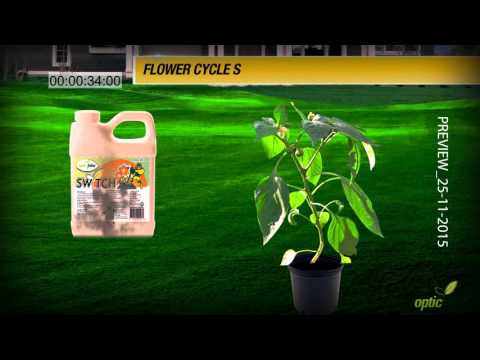 Video of Optic Foliar Switch
