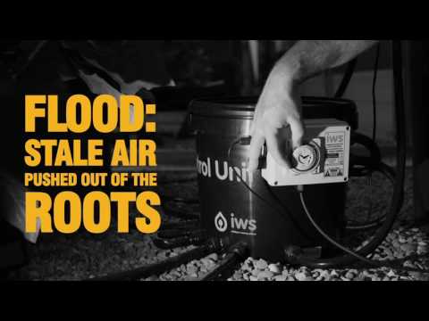Video of an IWS Flood and Drain system