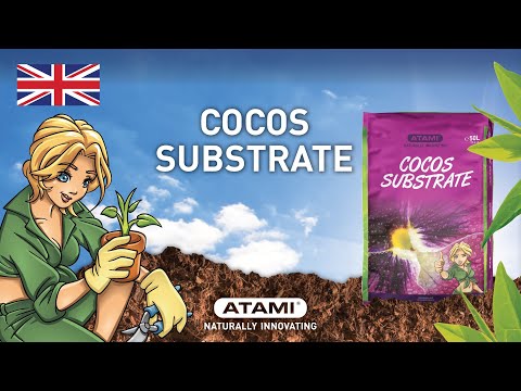 Atami Coco Substrate Video