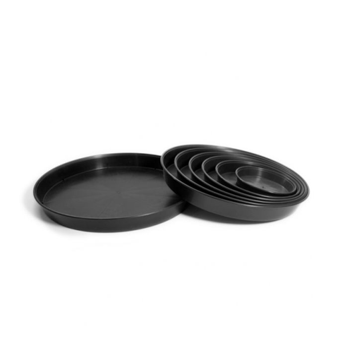 Black Saucers