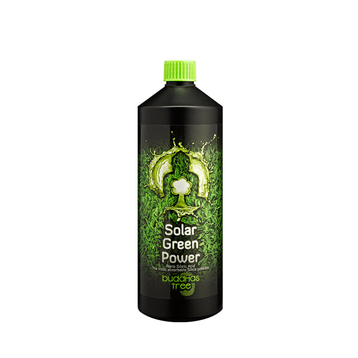 Buddhas Tree Solar Green Power