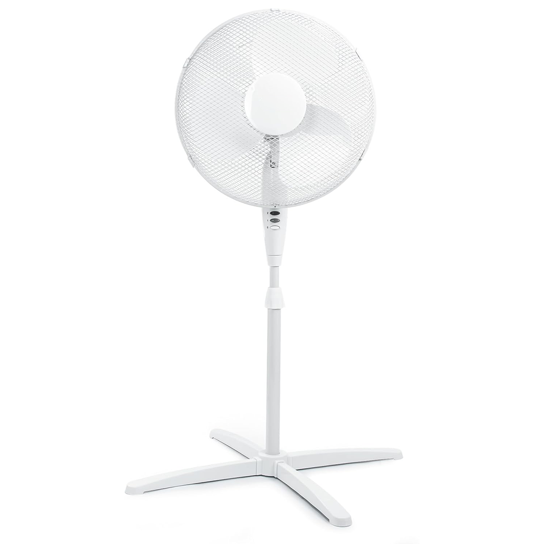 image of the fan with a white background