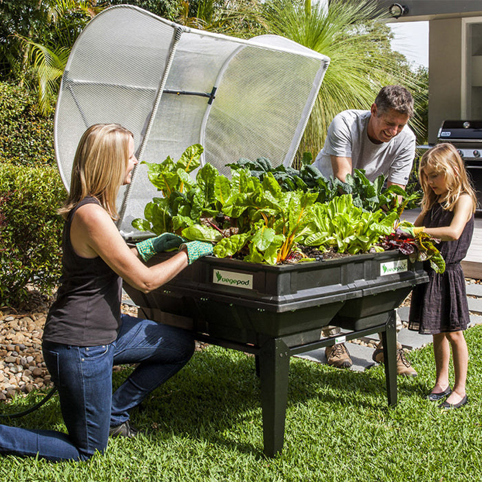 Planting in the Meidum Vegepod Garden Bed