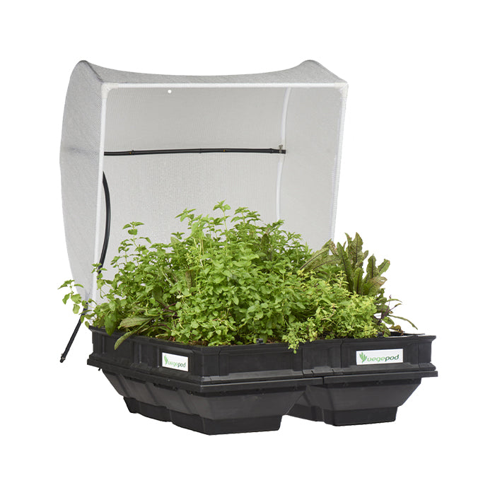 Vegepod Garden Bed with Cover - Medium