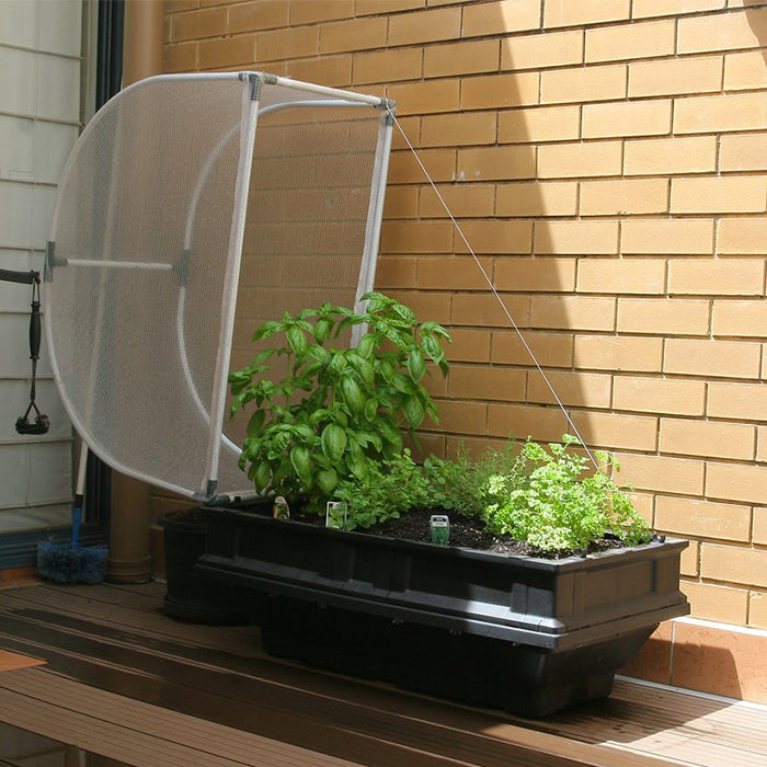 Planting in a Vegepod Small Garden Bed with Cover