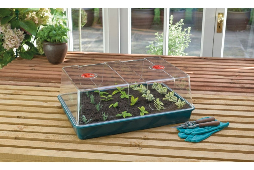 XL High Dome Propagator used in indoor propagation setup